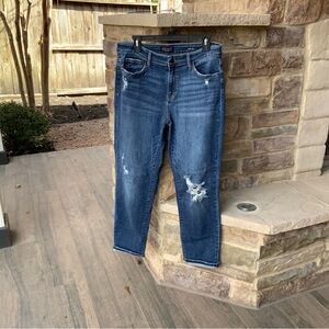 Judy Blue Slim Fit Size 11/30 Distressed ladies jeans